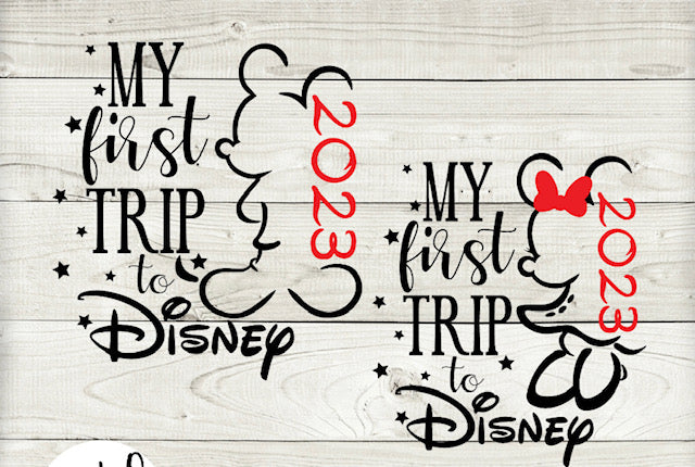 DISNEY 1ST TRIP
